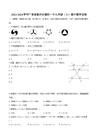 2023-2024学年广东省惠州市惠阳一中九年级(上)期中数学试卷(含解析)