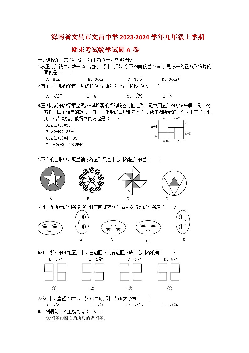 海南省文昌市文昌中学2023-2024学年九年级上学期期末考试数学试题（A卷）01