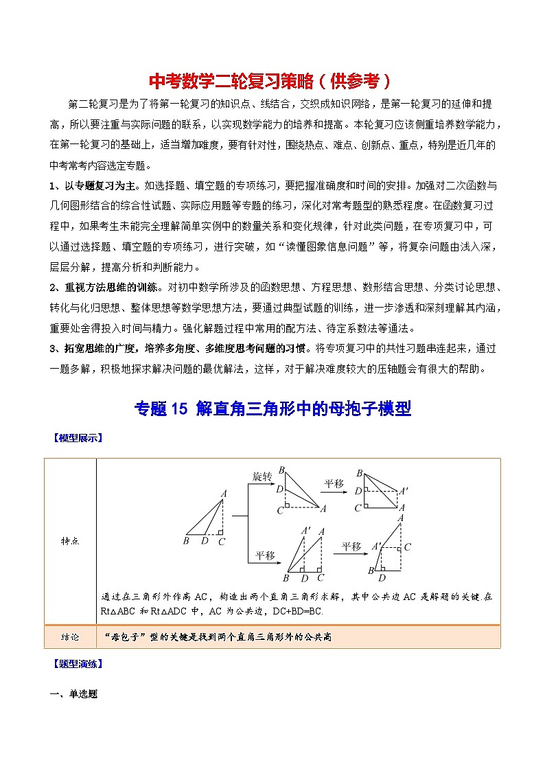 专题15 解直角三角形中的母抱子模型(原卷版)第1页