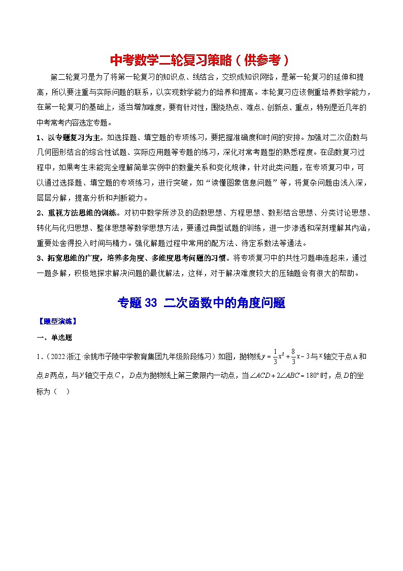 最新中考数学难点突破与经典模型精讲练  专题33二次函数中的角度问题 （全国通用）01