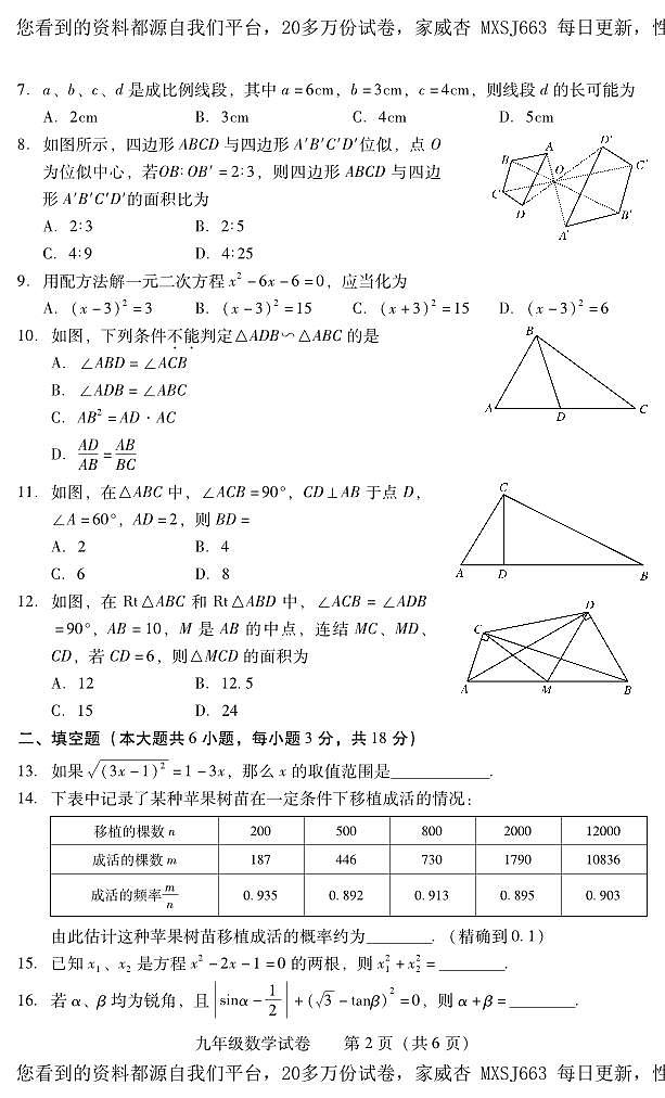 湖南省衡阳市常宁市2023-2024学年九年级上学期期末考试数学试题02