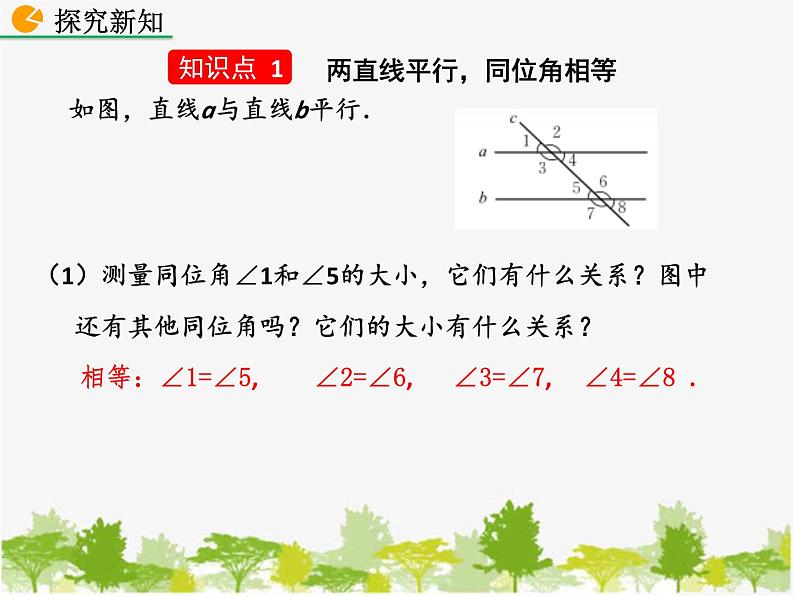 北师大版数学七年级下册 2.3 平行线的性质（课件）04
