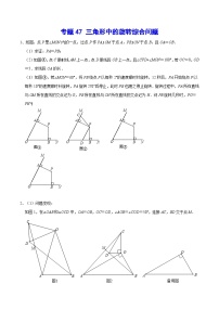 专题47 三角形中的旋转综合问题-中考数学重难点专项突破（全国通用）