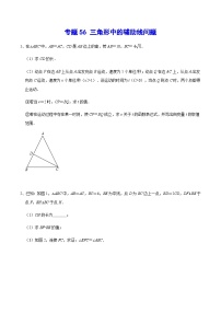 专题56 三角形中的辅助线问题-中考数学重难点专项突破（全国通用）