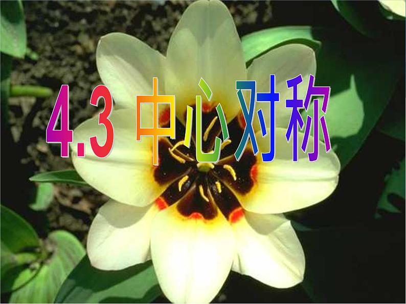 浙教版数学八年级下册 4.3中心对称 课件第1页