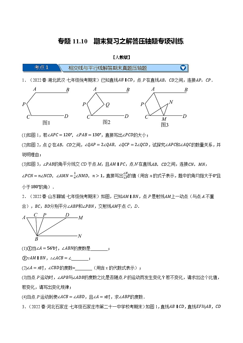 人教版七年级数学下册专题训练专题11.10期末复习之解答压轴题专项训练(人教版)(原卷版+解析)01