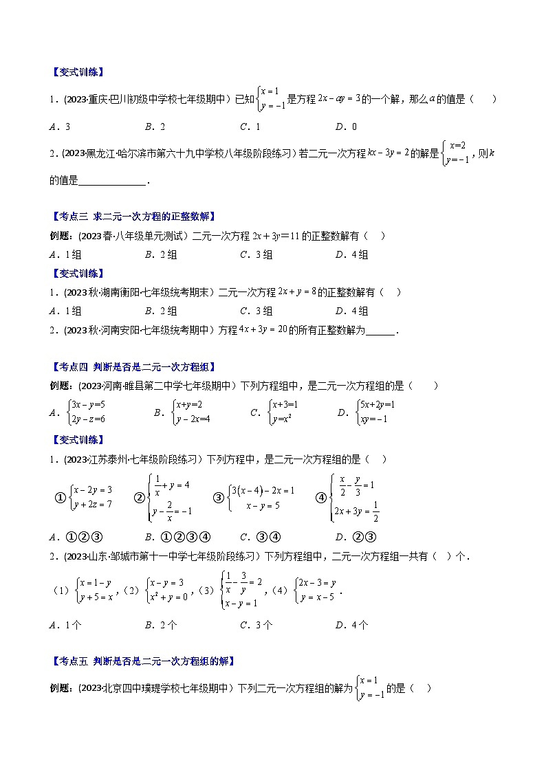 华东师大版七年级数学下册压轴题攻略专题05二元一次方程(组)的定义及求解二元一次方程组压轴题六种模型全攻略(原卷版+解析)第2页