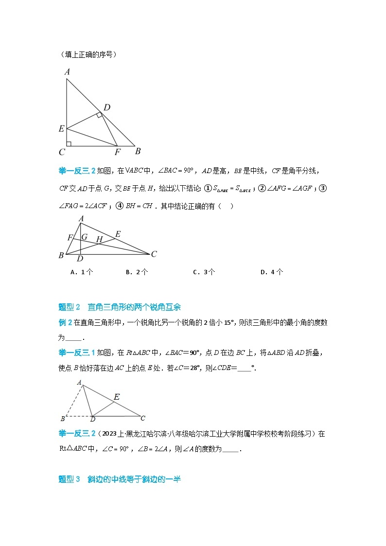 19.8 直角三角形的性质（讲+练，十八大题型）-八年级数学上册同步讲与练（沪教版）03