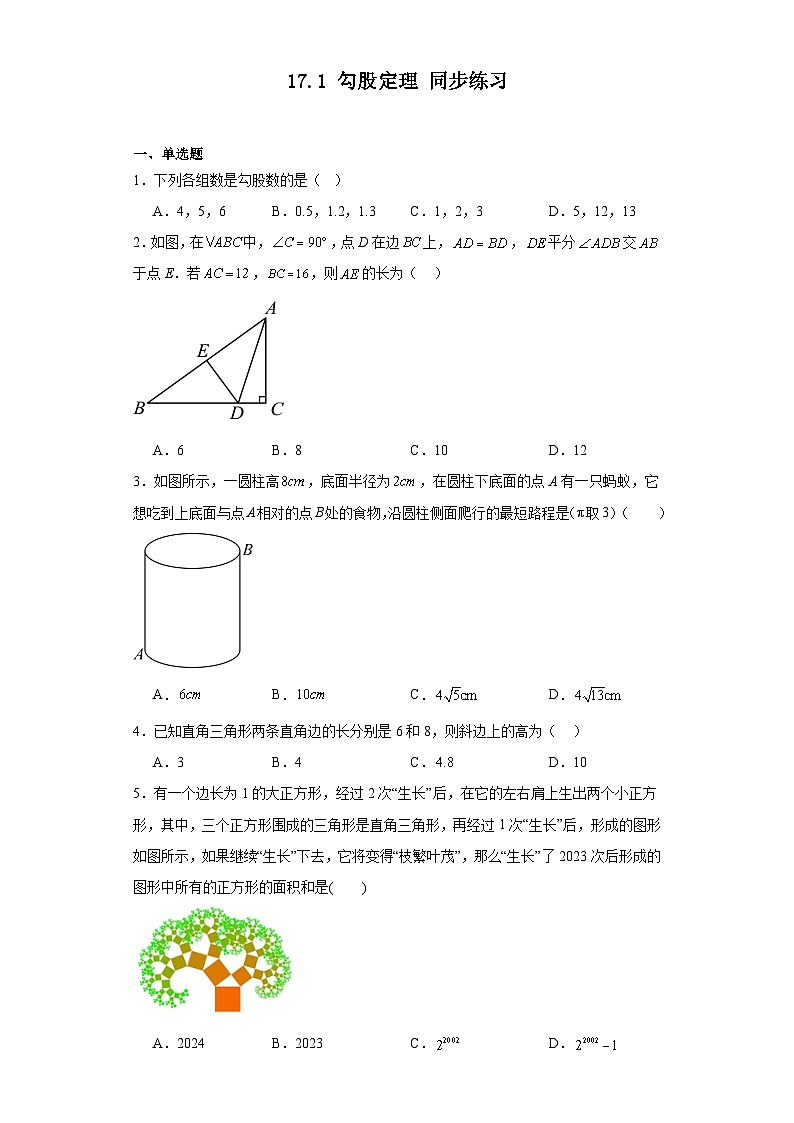 2023—2024学年人教版数学八年级下册17.1+勾股定理+同步练习（含答案）01
