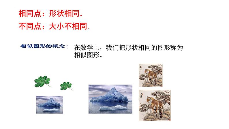 27.1++图形的相似+课件++2023-2024学年人教版数学九年级下册第5页