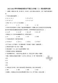 2023-2024学年河南省信阳市平桥区七年级（上）期末数学试卷（含解析）