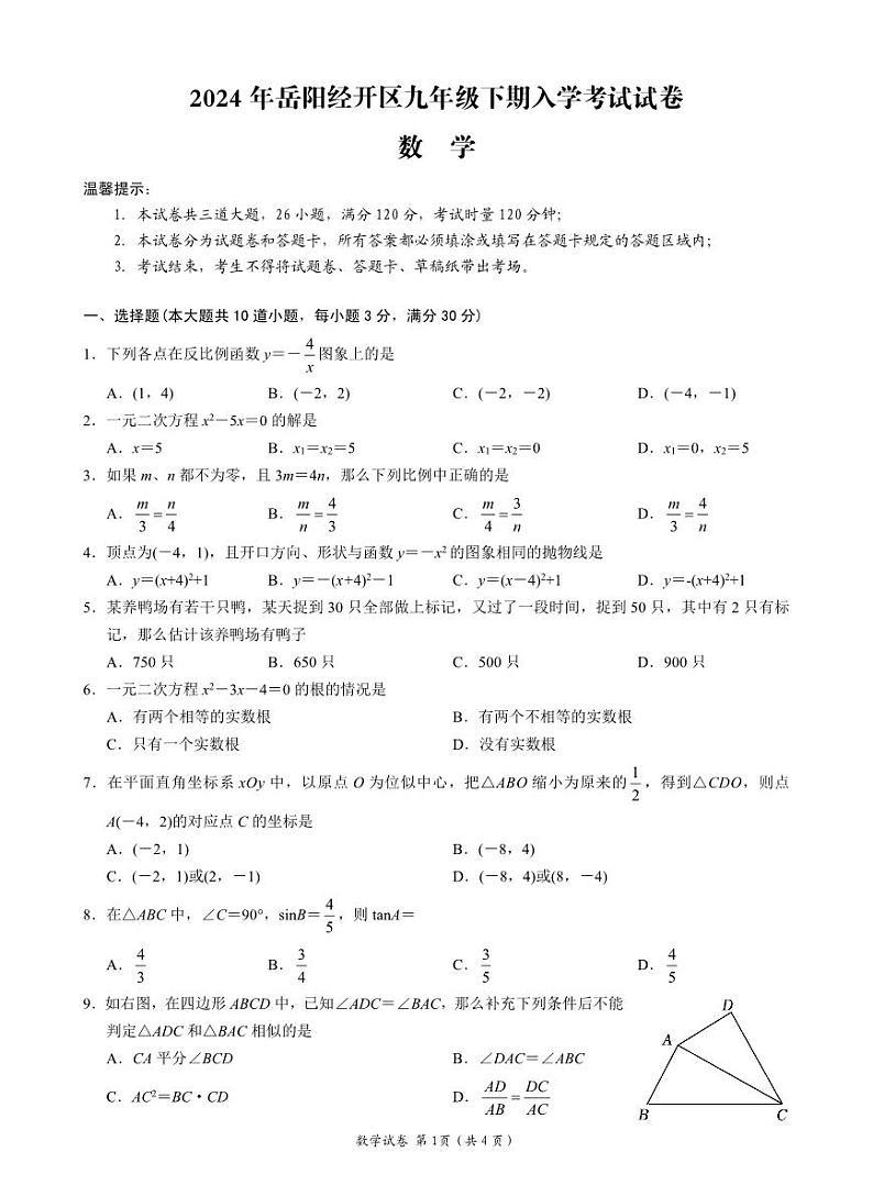 219，湖南省岳阳市经开区2023- 2024学年九年级下学期入学考试数学试题01
