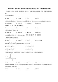 2023-2024学年浙江省绍兴市新昌县七年级（上）期末数学试卷(含解析）