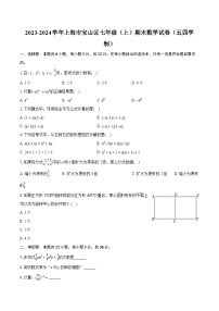 2023-2024学年上海市宝山区七年级（上）期末数学试卷（五四学制）（含详细答案解析）