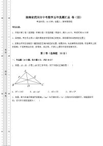 备考特训湖南省武冈市中考数学五年真题汇总 卷（Ⅲ）（含答案解析）