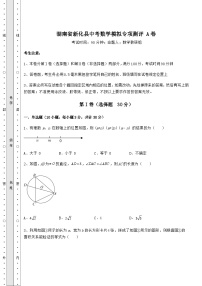 湖南省新化县中考数学模拟专项测评 A卷（含答案详解）