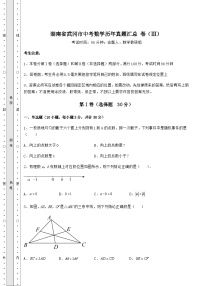 真题解析湖南省武冈市中考数学历年真题汇总 卷（Ⅲ）（含答案解析）