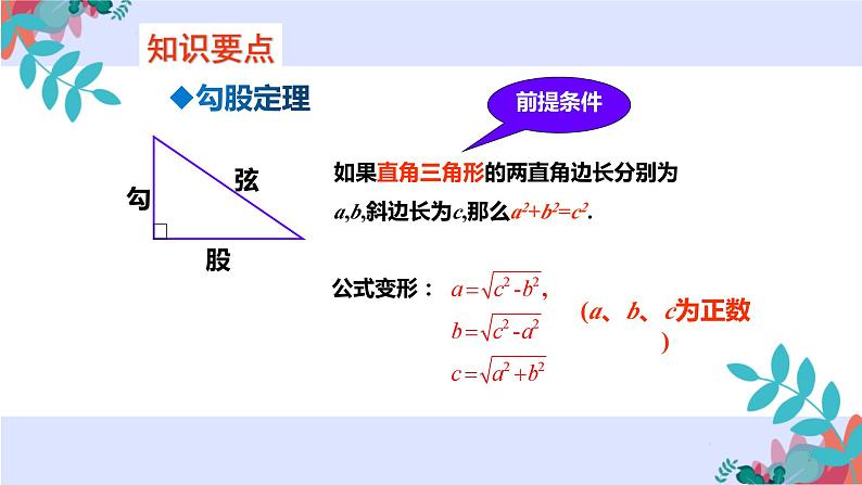 第十七章 勾股定理（知识点）课件第2页