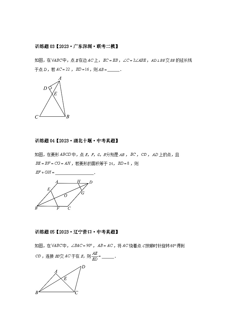 2024中考数学几何压轴专题训练-专题01三角形之全等、相似问题（含解析）第2页