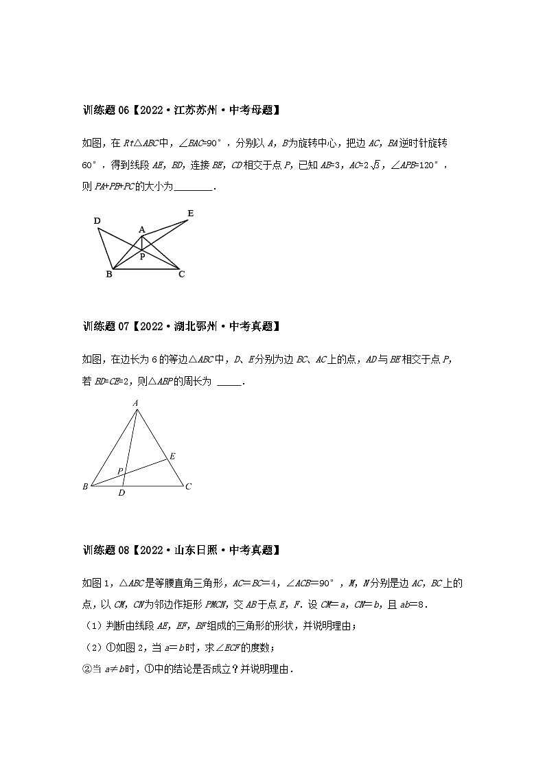 2024中考数学几何压轴专题训练-专题01三角形之全等、相似问题（含解析）第3页