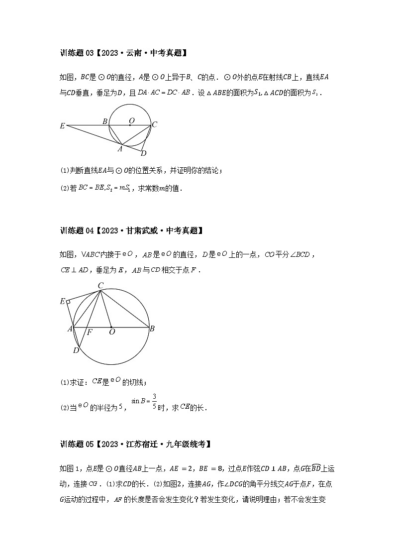 2024中考数学几何压轴专题训练-专题07圆形之综合问题（含解析）第2页