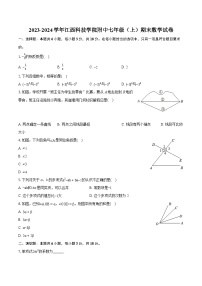 2023-2024学年江西科技学院附中七年级（上）期末数学试卷（含详细答案解析）