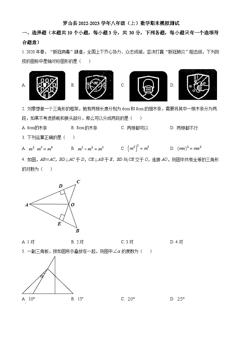 精品解析：河南省信阳市罗山县2022-2023学年八年级上学期期末数学模拟试题（原卷版）第1页