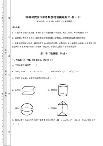 中考专题湖南省武冈市中考数学考前摸底测评 卷（Ⅱ）（含答案详解）