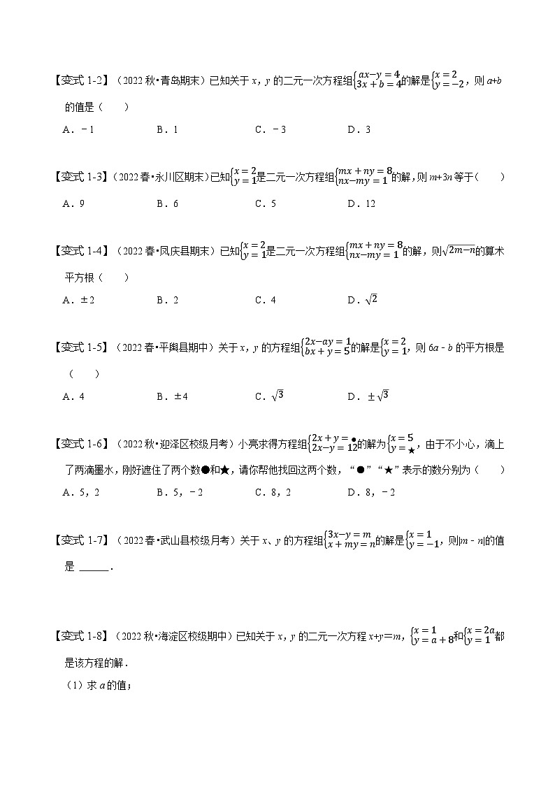 人教版七年级数学下册同步精讲精练专题二元一次方程组的同解、错解、参数等问题(原卷版+解析)02