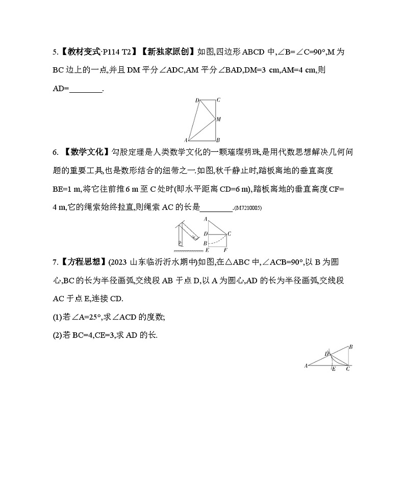 10.3　直角三角形第1课时——2024年鲁教版数学七年级下册精品同步练习第2页