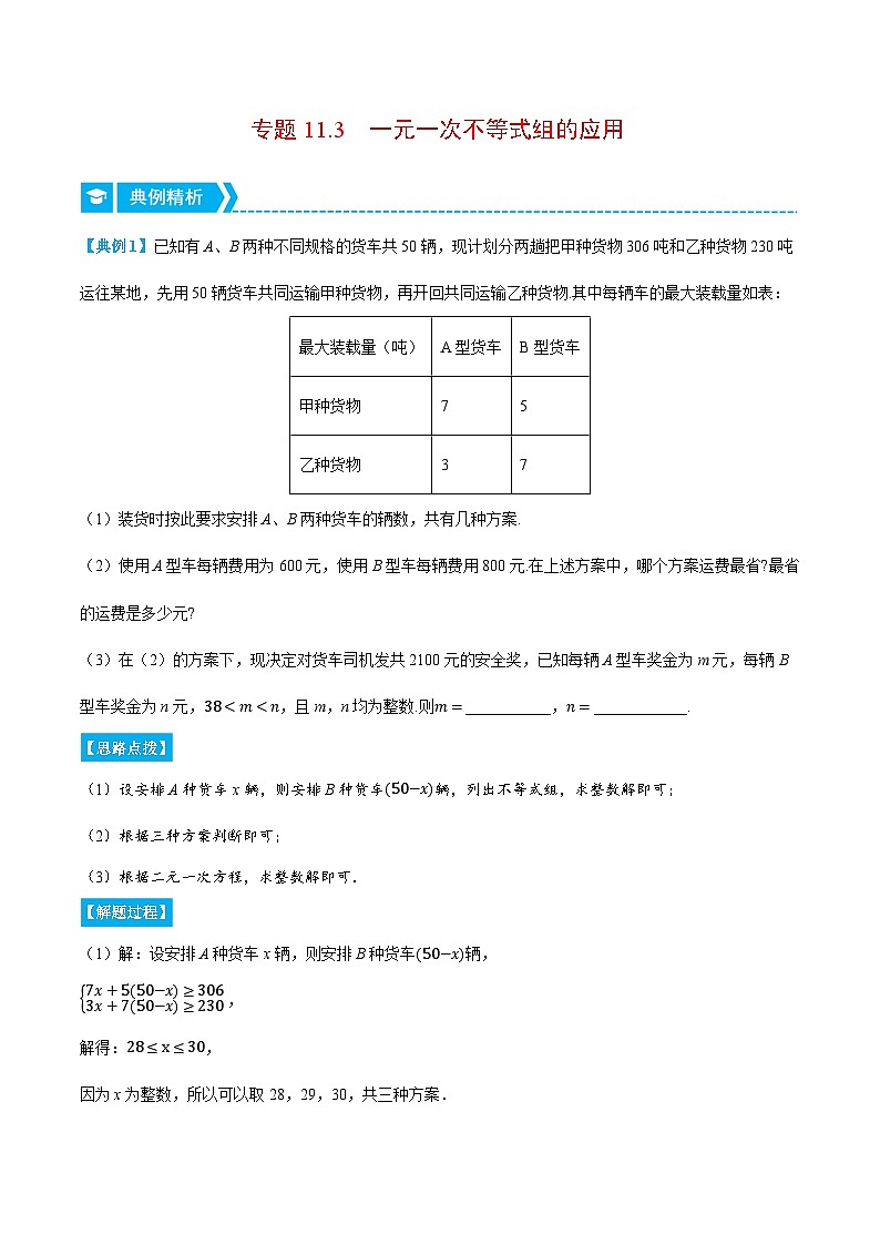 专题11.3 一元一次不等式组的应用（压轴题专项讲练）-2023-2024学年七年级数学下册压轴题专项高分突破（苏科版）01