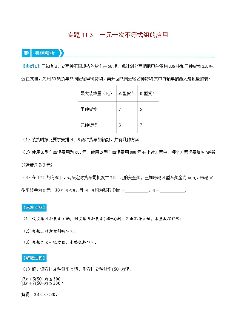 专题11.3 一元一次不等式组的应用（压轴题专项讲练）-2023-2024学年七年级数学下册压轴题专项高分突破（苏科版）01