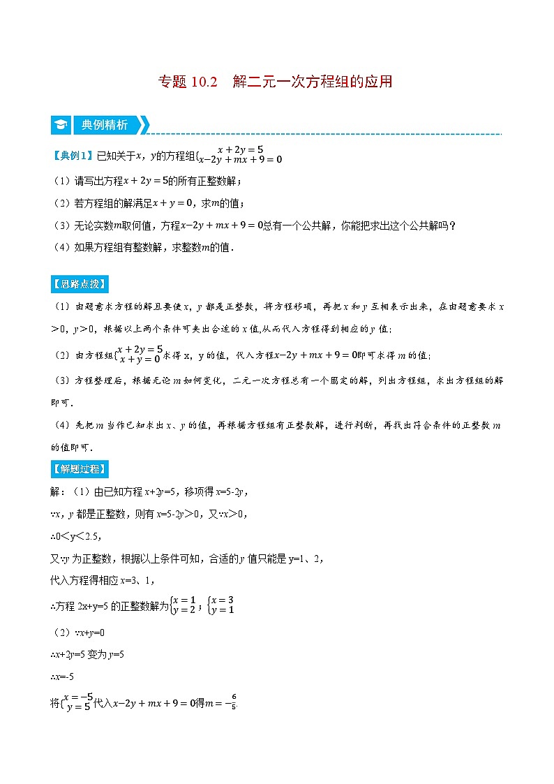 专题10.2 解二元一次方程组的应用（压轴题专项讲练）（苏科版）（苏科版）第1页