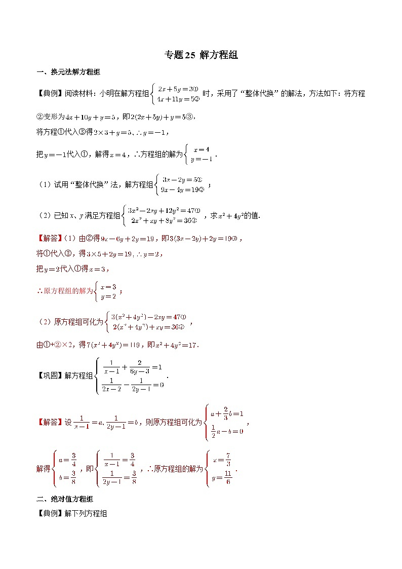 专题25 解方程组-备战2024年中考数学优生冲刺抢分试题精选（全国通用）01