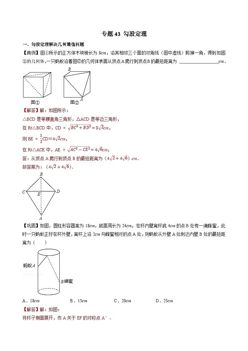 专题43 勾股定理-初中数学学科素养能力培优竞赛试题精选专练（解析版）第1页