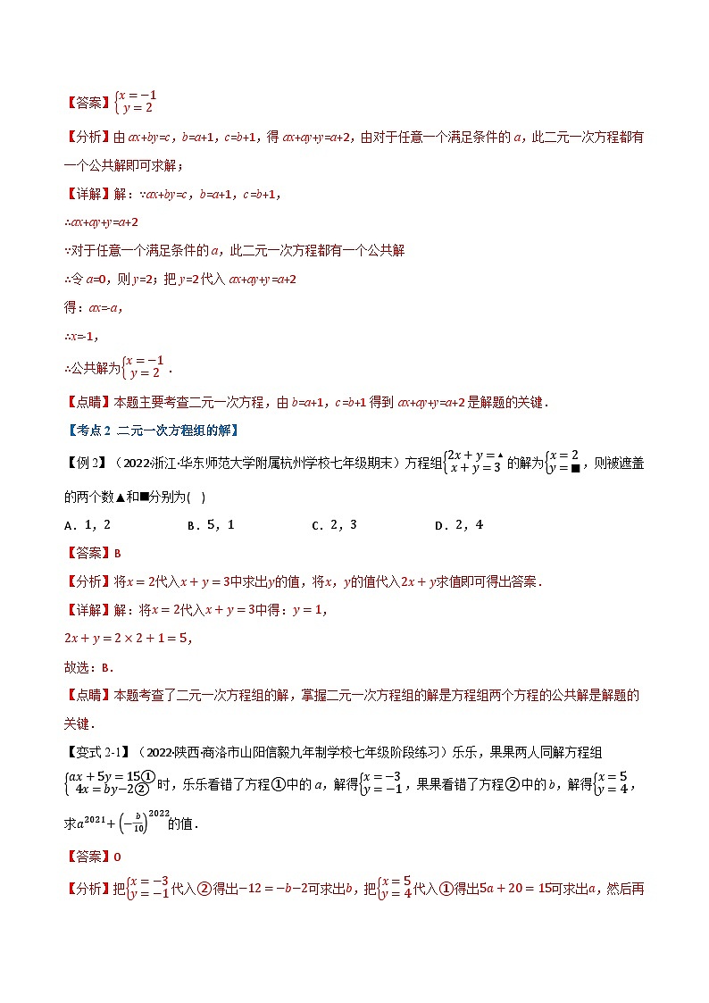专题11.2 期中期末专项复习之一次方程组十四大必考点-2023-2024学年七年级数学下册讲练测（华东师大版）03