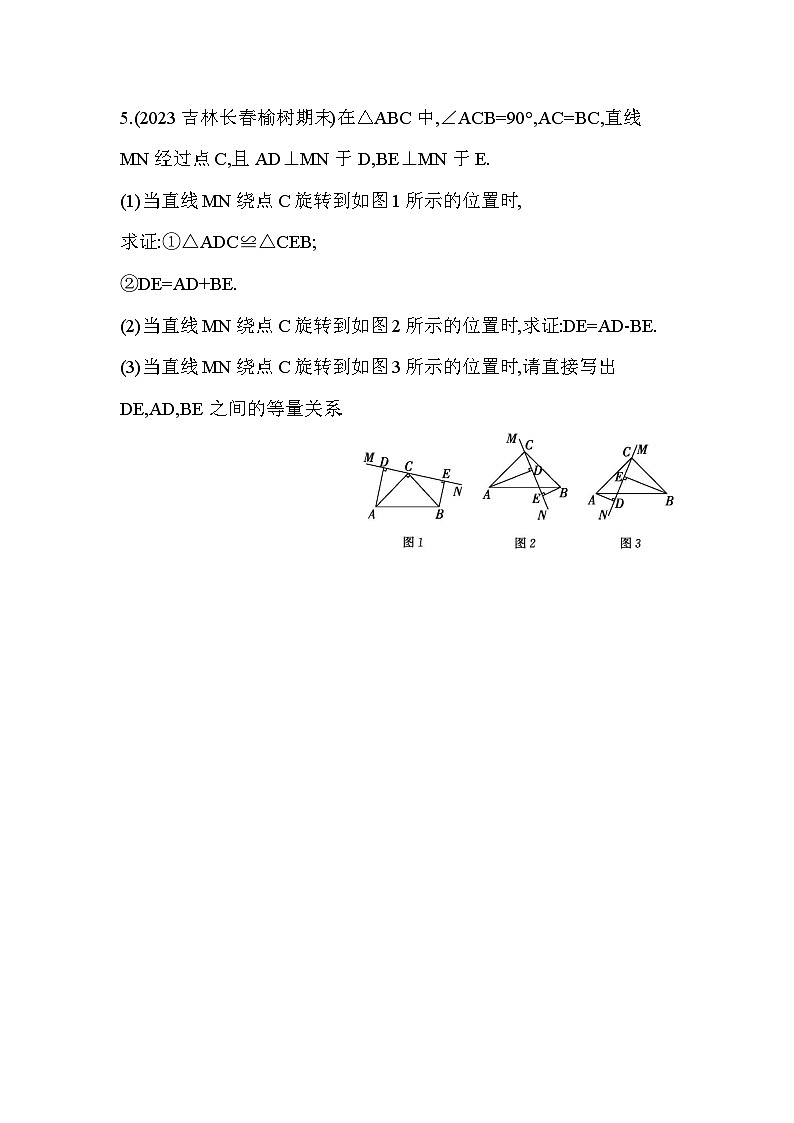 06-专项素养综合全练(六)三角形全等常见模型——2024年鲁教版数学七年级下册精品同步练习第3页