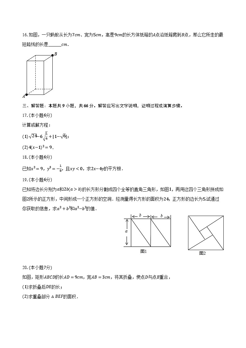 2023-2024学年广东省佛山市顺德区美辰学校八年级（上）第一次月考数学试卷（含解析）第3页