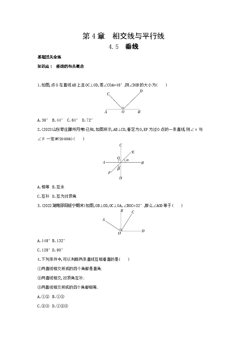 4.5　垂线——2024年湘教版数学七年级下册精品同步练习01
