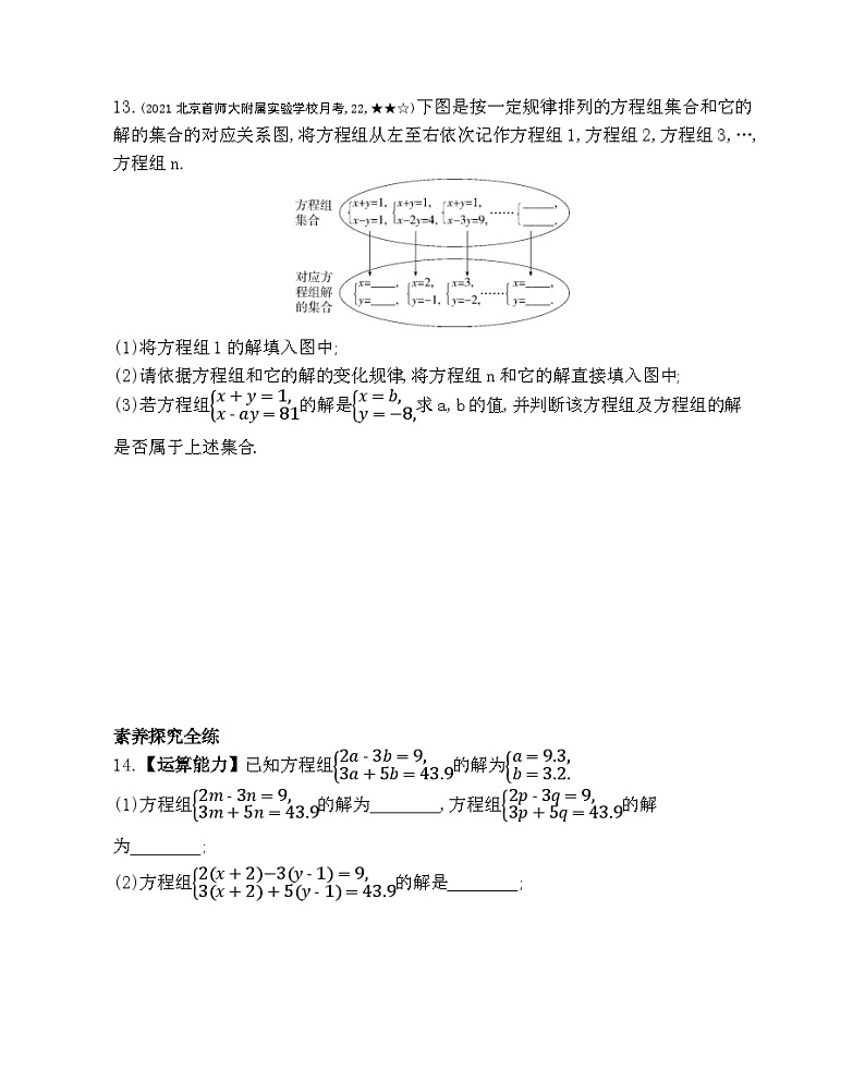 5.2　二元一次方程组和它的解——2024年北京课改版数学七年级下册精品同步练习第3页