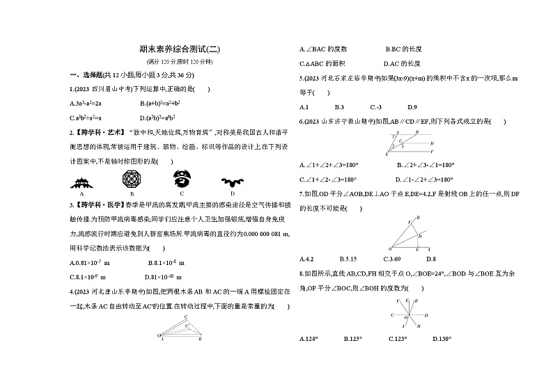 期末素养综合测试(二)——2024年北师大版数学七年级下册精品同步练习第1页