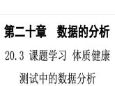 20.3课题学习体质健康测试中的数据分析课件