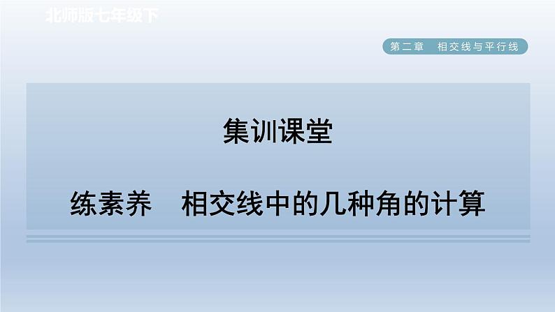 2024七下数学第二章相交线与平行线1两条直线的位置关系练素养相交线中的几种角的计算课件（北师大版）01