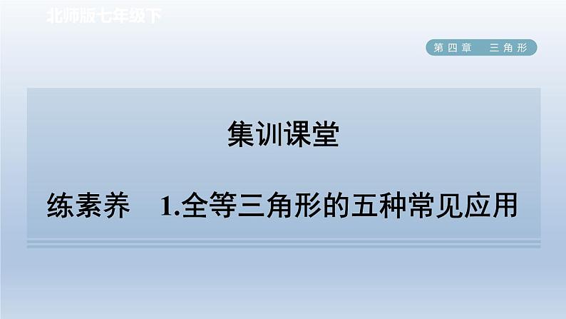 2024七下数学第四章三角形5利用三角形全等测距离练素养1全等三角形的五种常见应用课件（北师大版）第1页