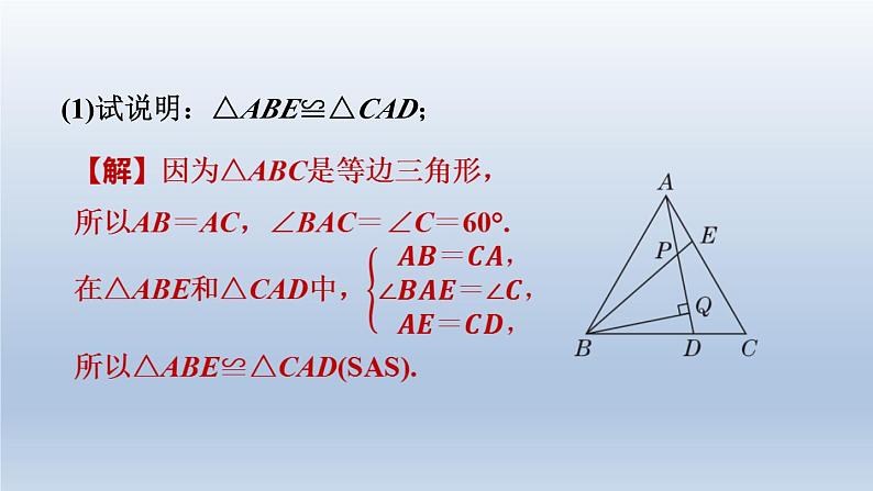 2024七下数学第四章三角形5利用三角形全等测距离练素养1全等三角形的五种常见应用课件（北师大版）第7页