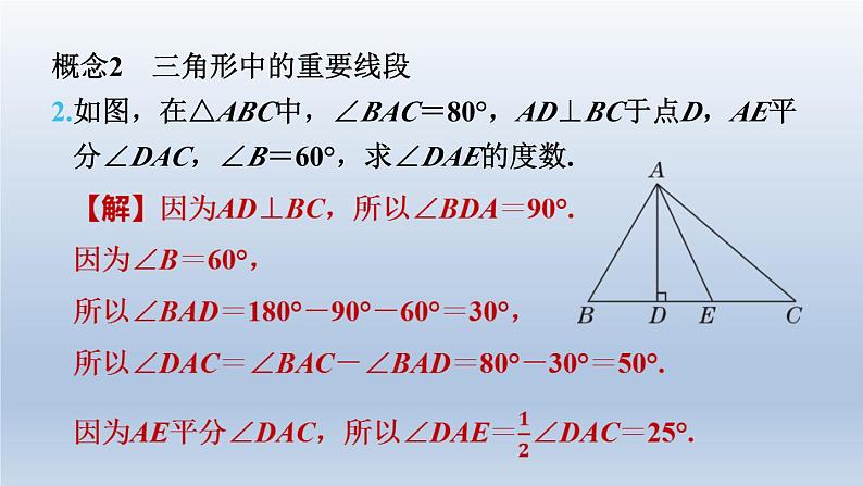 2024七下数学第四章三角形全章热门考点整合应用课件（北师大版）06