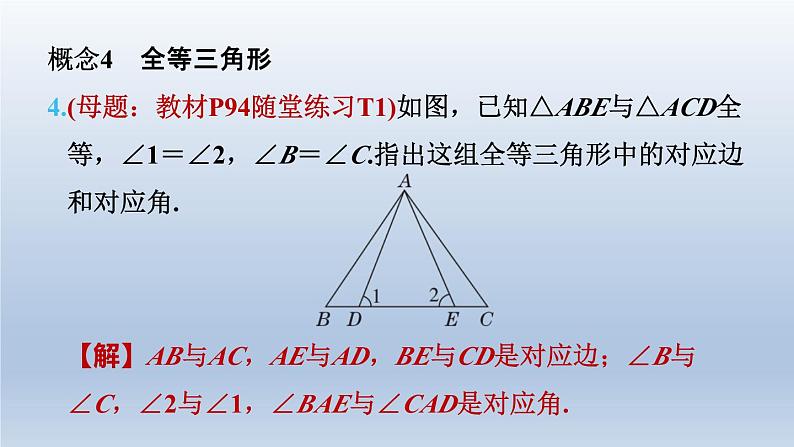 2024七下数学第四章三角形全章热门考点整合应用课件（北师大版）08