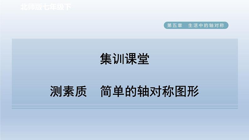 2024七下数学第五章生活中的轴对称4利用轴对称进行设计测素质简单的轴对称图形课件（北师大版）01