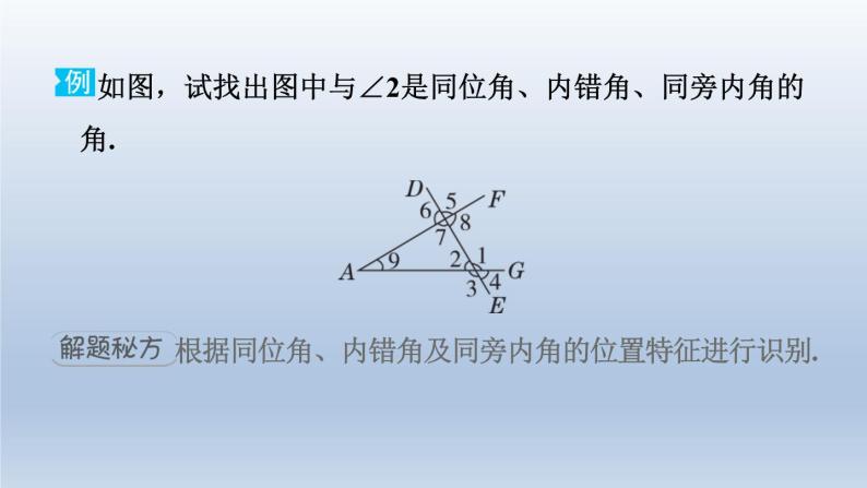 2024七下数学极速提分法第3招识别相交线中的几种角课件（北师大版）03