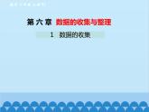 北師大版數(shù)學(xué)七年級(jí)上冊(cè) 6.1 數(shù)據(jù)的收集課件